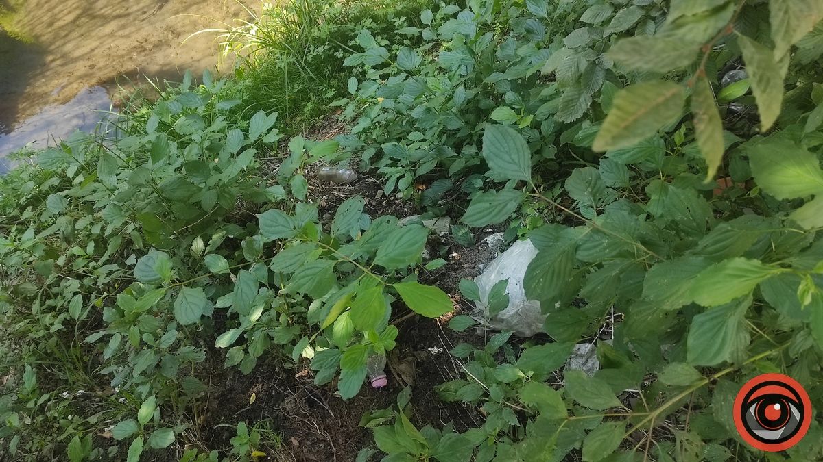 Ворог поміж нас: як коломияни забруднюють русла міських потічків 7