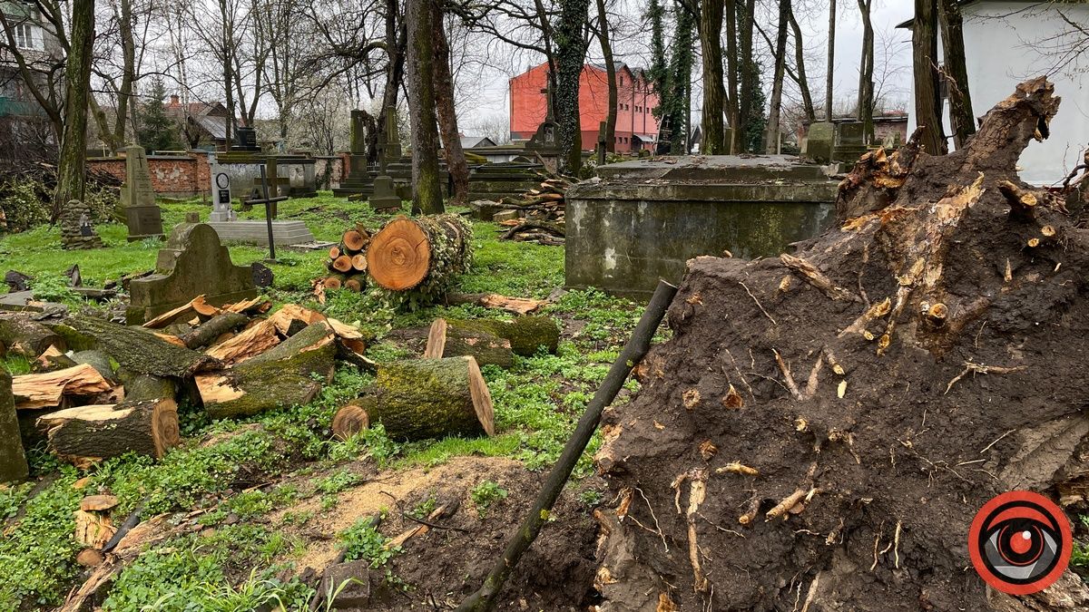 Вітровальні дерева на польському кладовищі по вул. Мазепи. Стоять від початку літа