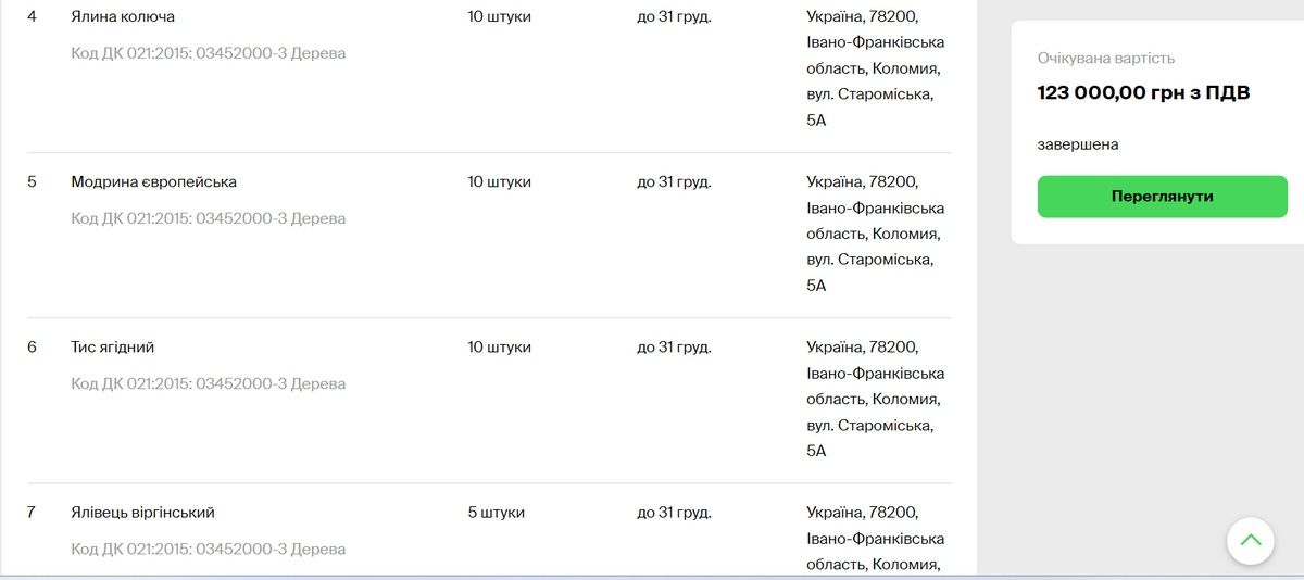 За бюджетні кошти в Коломиї закупили хвойних дерев. Хурму, золотий дощ, пагоду та інші саджанці не вдалось придбати 2