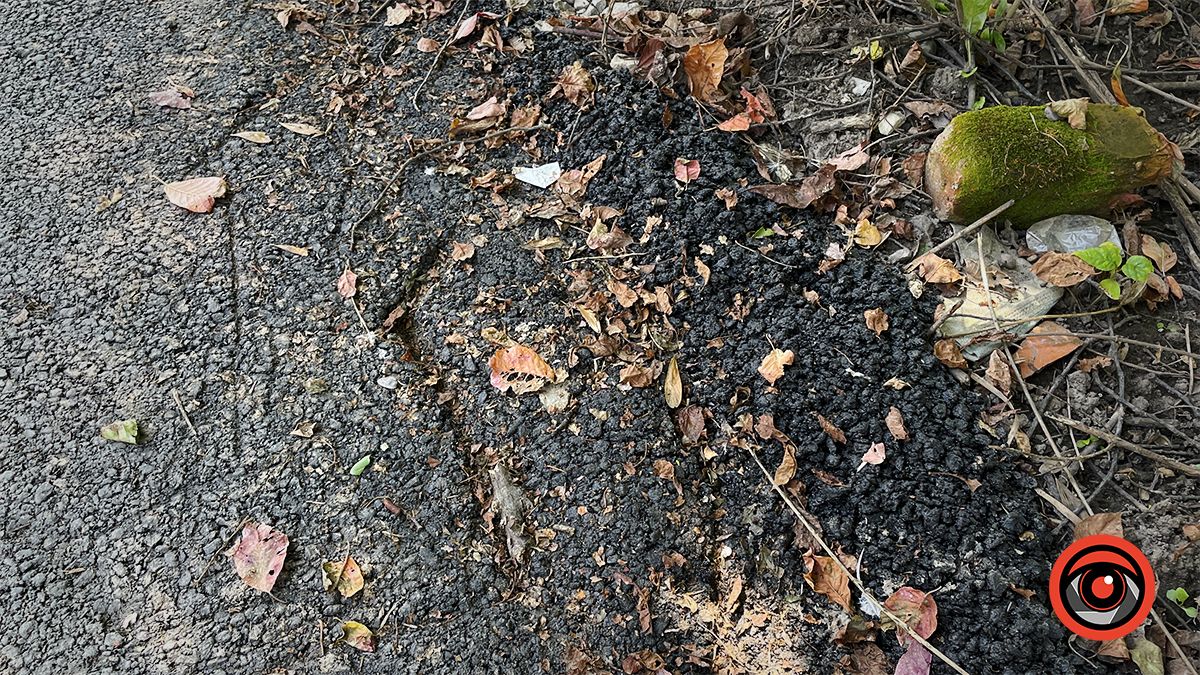 Катай як-небудь: нові тротуари на Лисенка в Коломиї 6