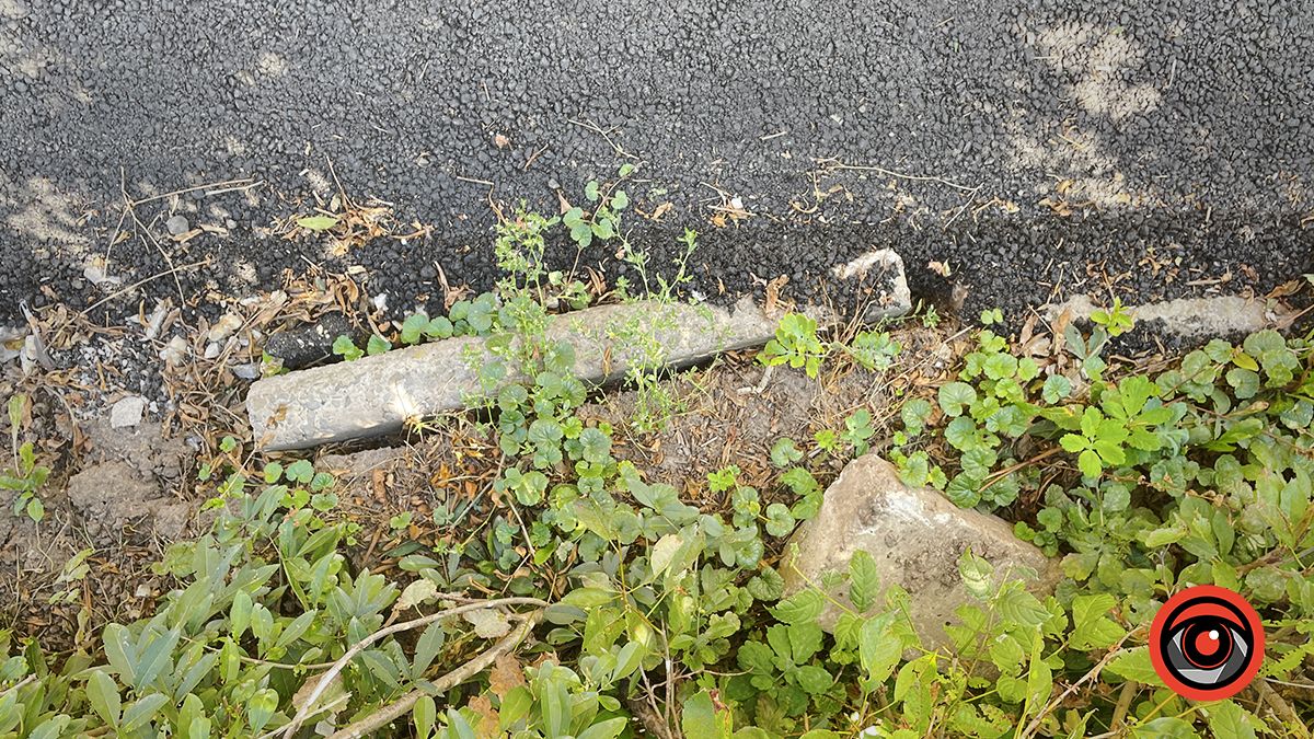 Катай як-небудь: нові тротуари на Лисенка в Коломиї 7