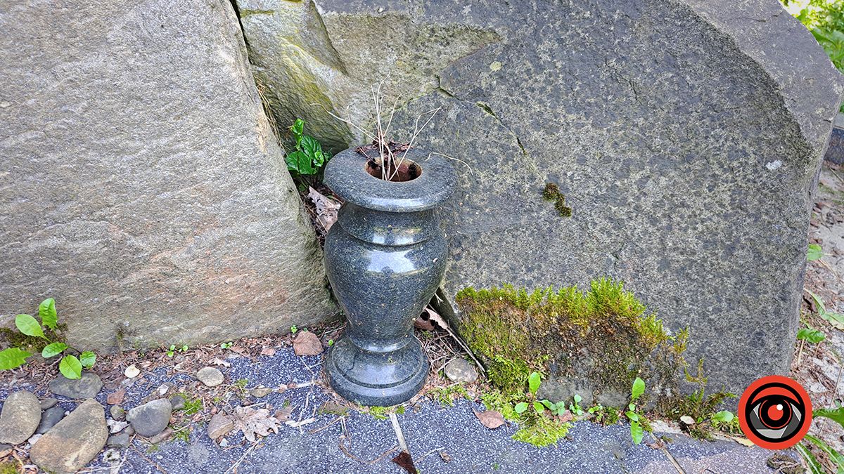 Занедбано й забуто: меморіал десяткам тисяч жертвам Голокосту в Коломиї у жахливому стані 14