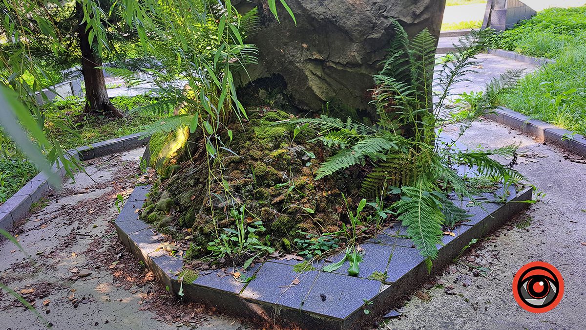 Занедбано й забуто: меморіал десяткам тисяч жертвам Голокосту в Коломиї у жахливому стані 13