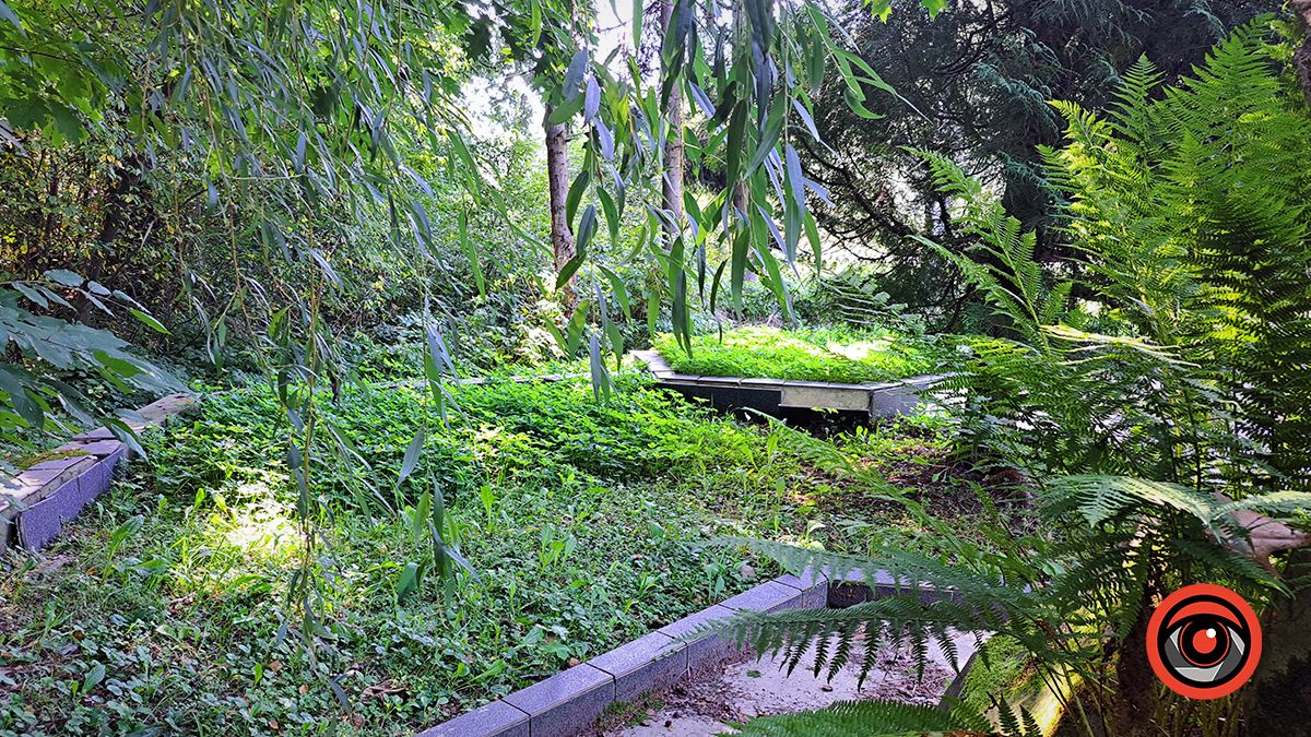 Занедбано й забуто: меморіал десяткам тисяч жертвам Голокосту в Коломиї у жахливому стані 9