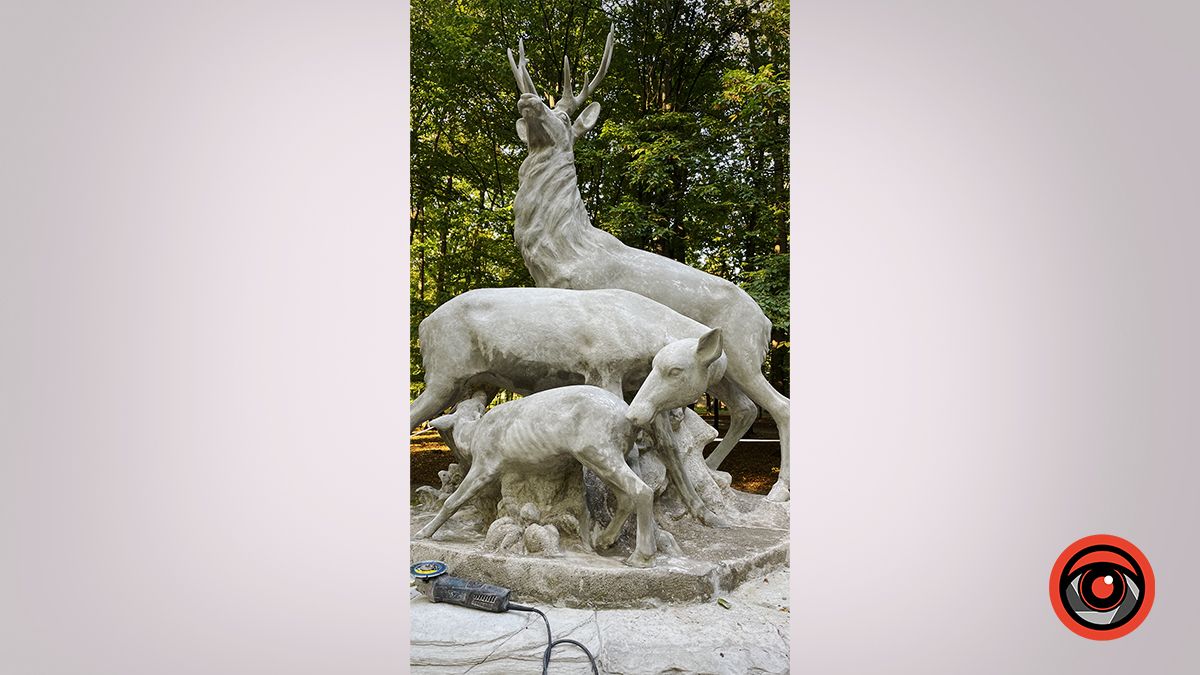 Як переродилися олені у скульптурі коломийського парку 1