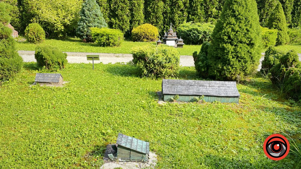Яремчанський дрібносвіт: фотоподорож у карпатську країну мініатюр 18