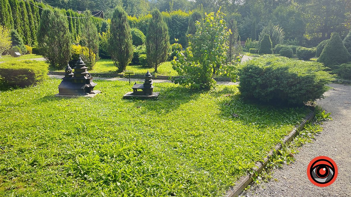 Яремчанський дрібносвіт: фотоподорож у карпатську країну мініатюр 17