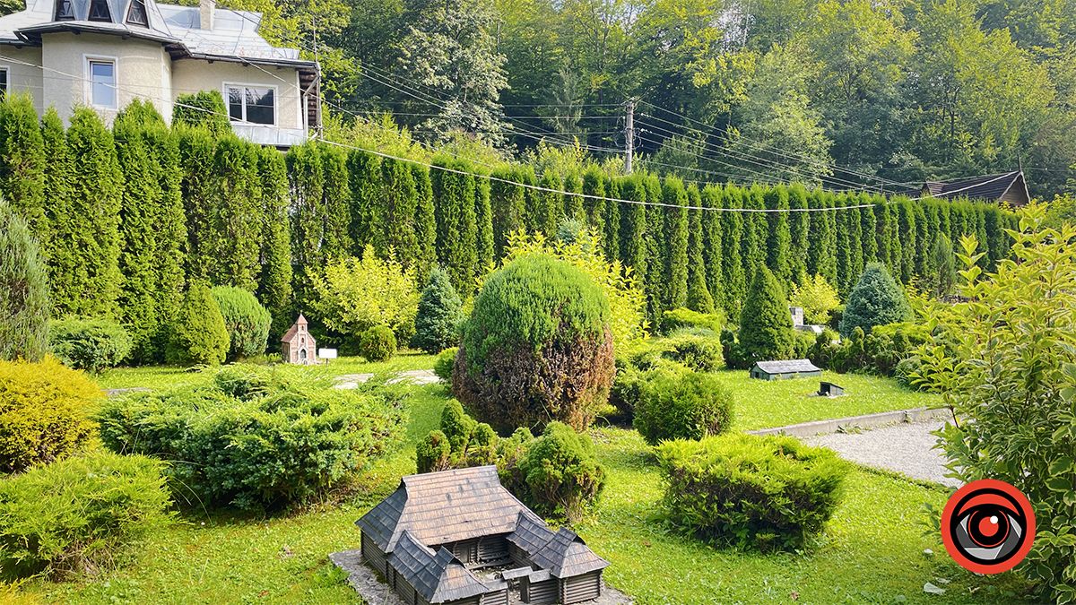 Яремчанський дрібносвіт: фотоподорож у карпатську країну мініатюр 16