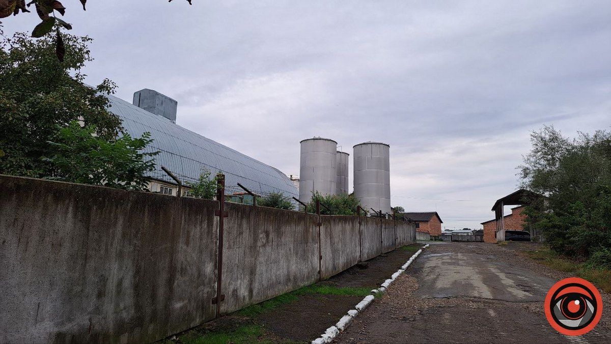 Мор риби у Підгайчиках: у став стікають чорні води 3