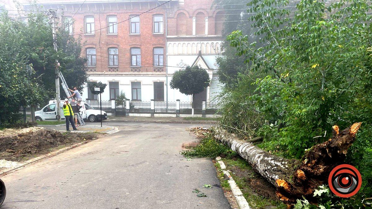 На розі вулиць Франка-Шопена впало дерево
