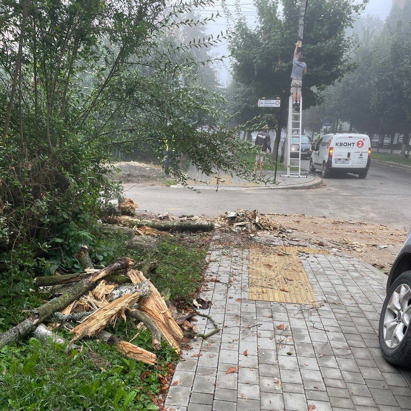 На розі вулиць Франка-Шопена впало дерево 2