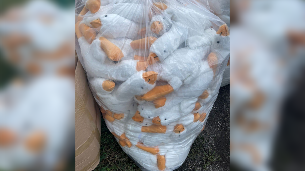 Прикарпатець хотів ввезти в Україну іграшки для продажу під виглядом гуманітарної допомоги 1