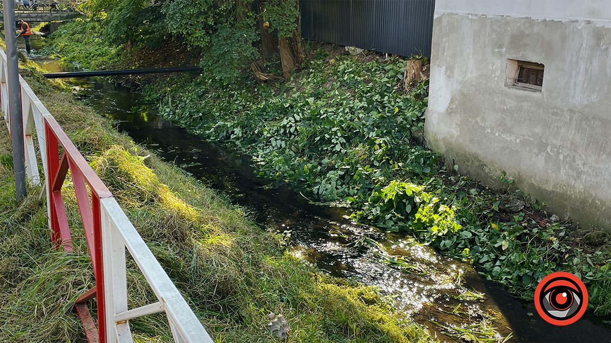 На вулиці Степана Тарабалки комунальники косять береги і чистять русло Радилівки 2