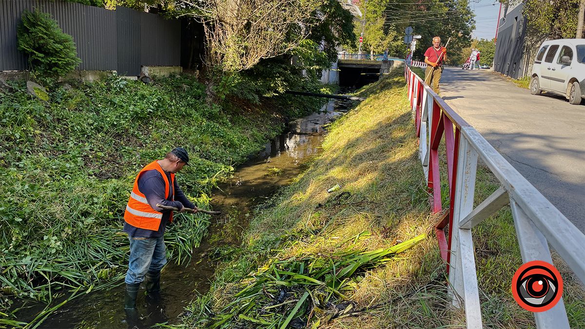 На вулиці Степана Тарабалки комунальники косять береги і чистять русло Радилівки 3