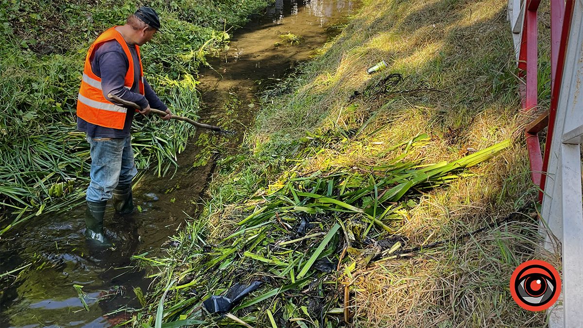 На вулиці Степана Тарабалки комунальники косять береги і чистять русло Радилівки 1