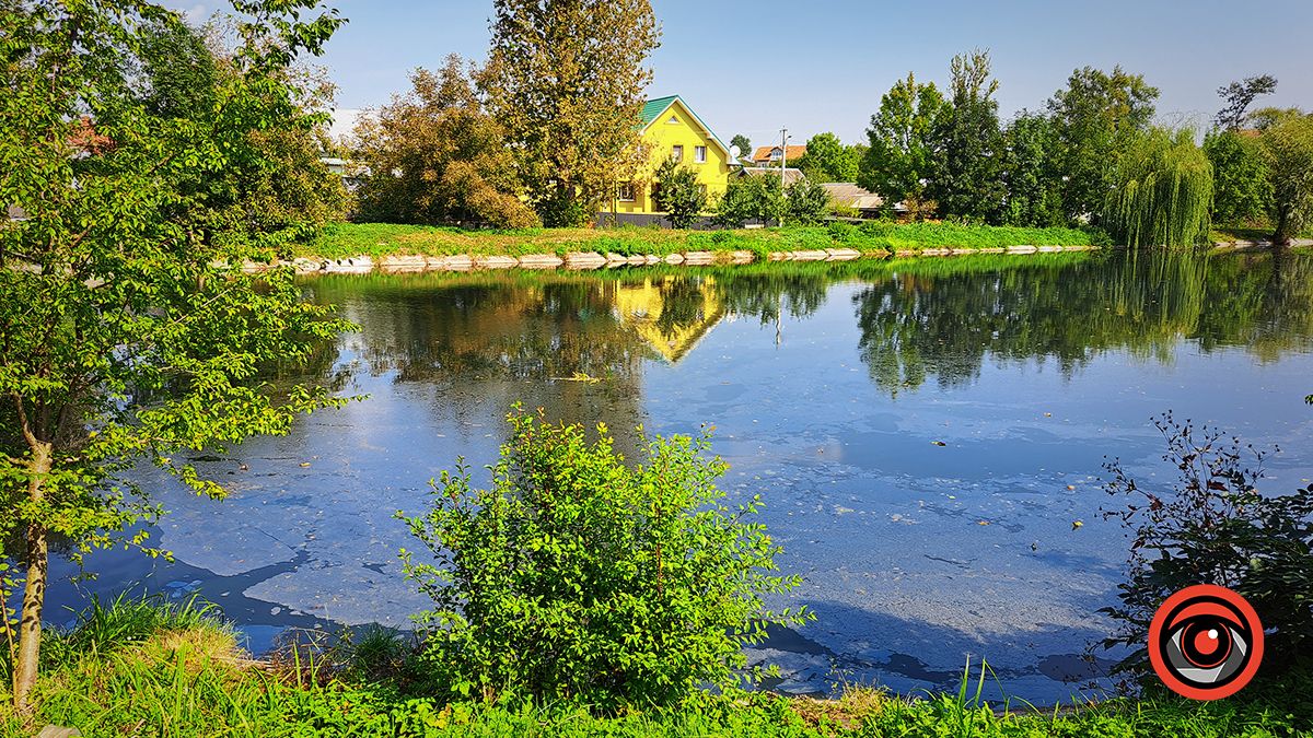 Смердючі води й дохла риба: ситуація у Підгайчиках 1