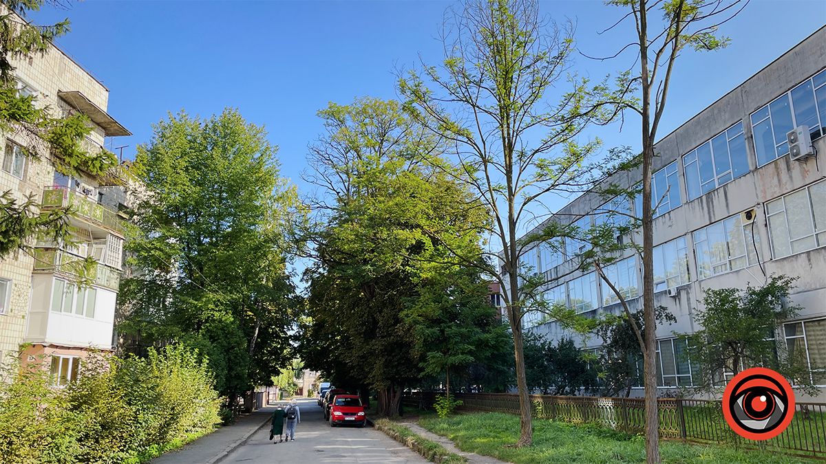 Історія вулиці Євгена Коновальця у Коломиї: школи барона Гірша і вілла "Ванда" 21