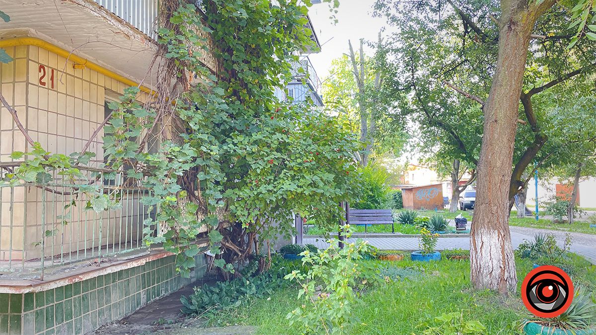 місцеві мешканці підтримують чистоту і збають про озеленення