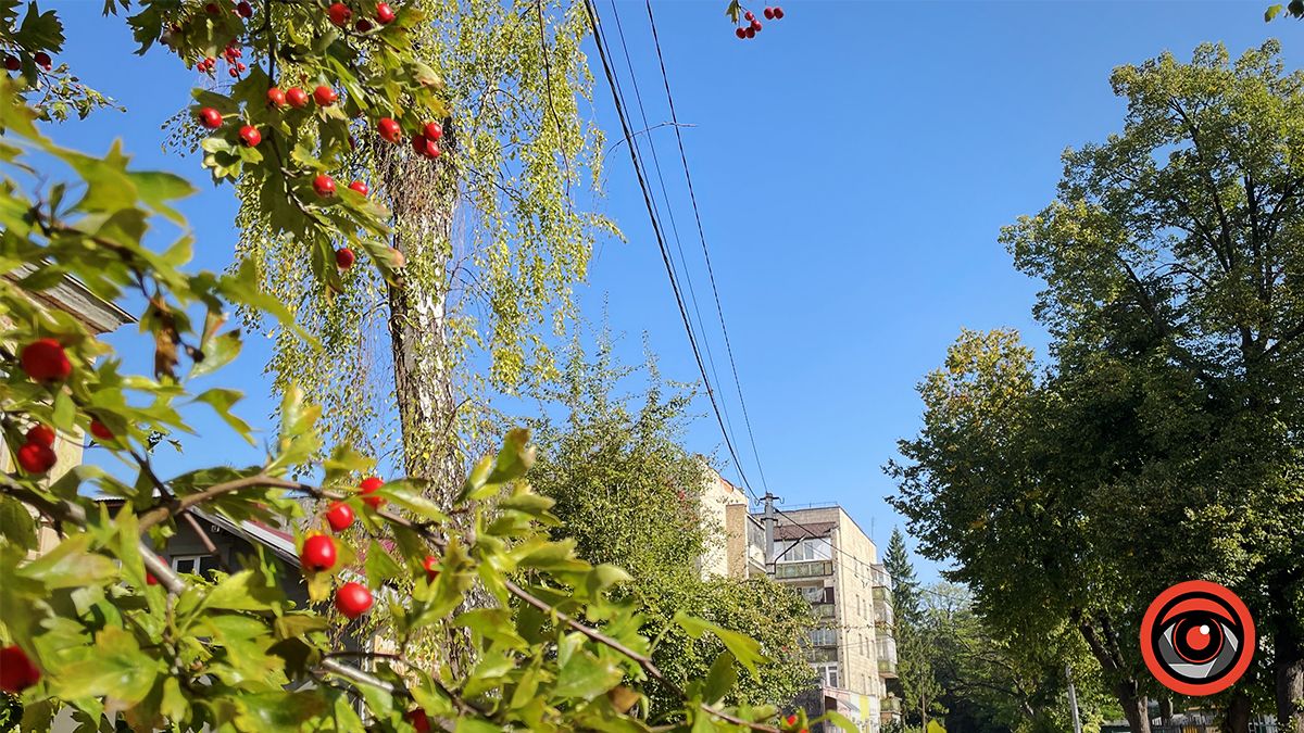 Історія вулиці Євгена Коновальця у Коломиї: школи барона Гірша і вілла "Ванда" 1