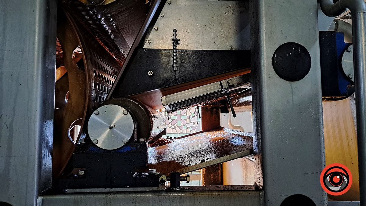 Як виглядає виробництво соку зсередини: за лаштунками заводу в Підгайчиках 22