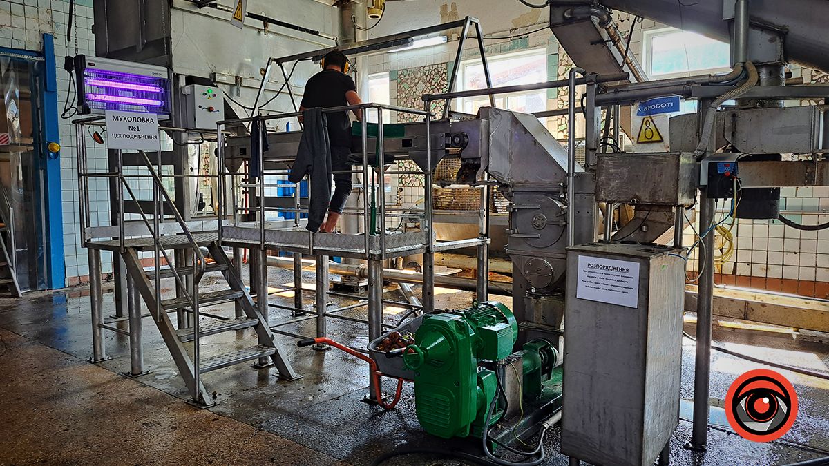 Як виглядає виробництво соку зсередини: за лаштунками заводу в Підгайчиках 2