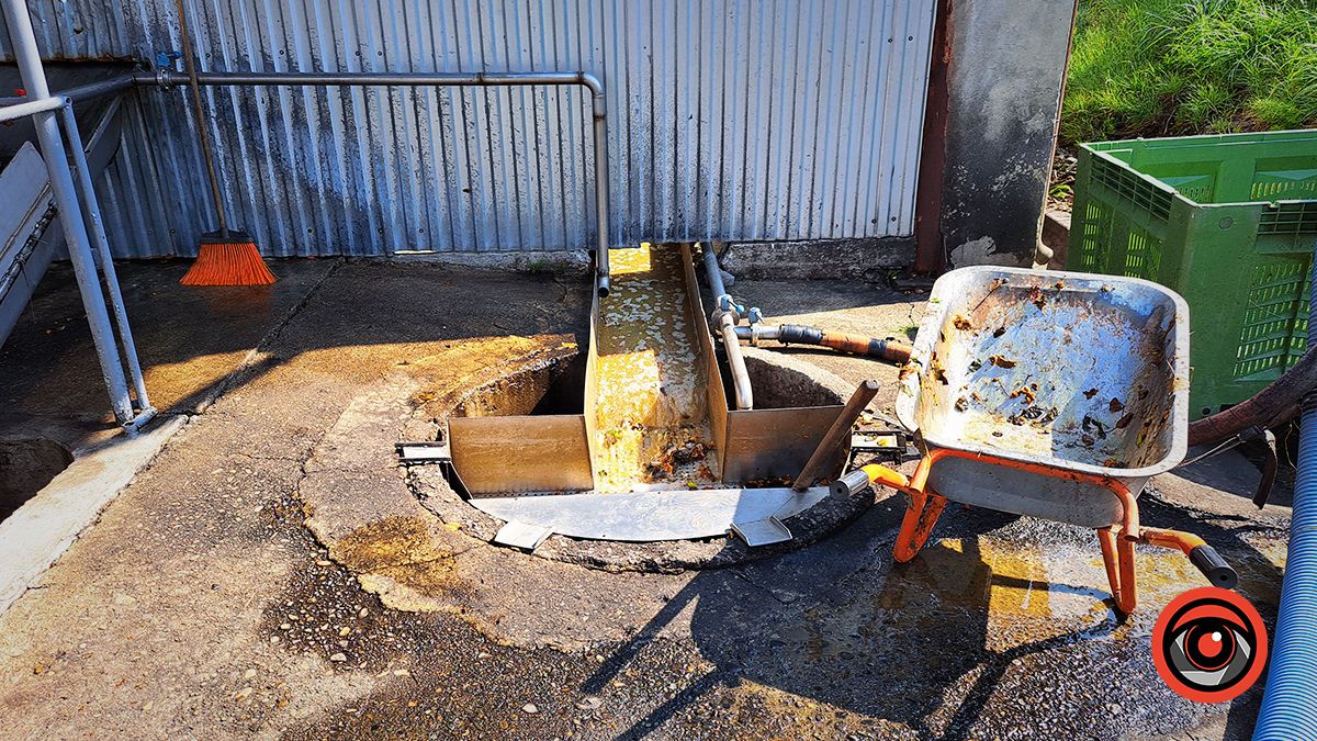 Як виглядає виробництво соку зсередини: за лаштунками заводу в Підгайчиках 16