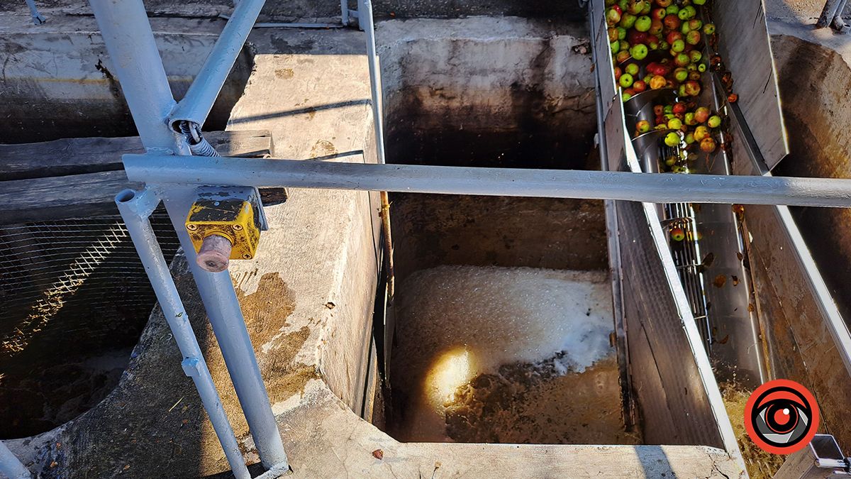 Як виглядає виробництво соку зсередини: за лаштунками заводу в Підгайчиках 19