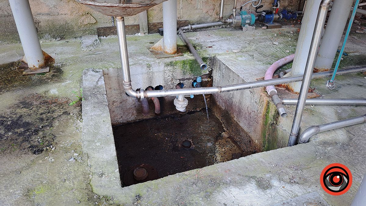 Як виглядає виробництво соку зсередини: за лаштунками заводу в Підгайчиках 10