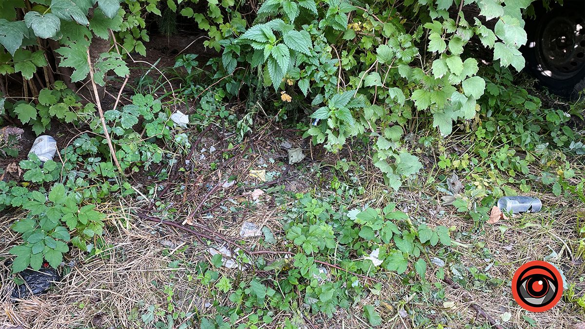 Чистили і лишили сміття: що не так із чисткою берегів Радилівки в Коломиї 11