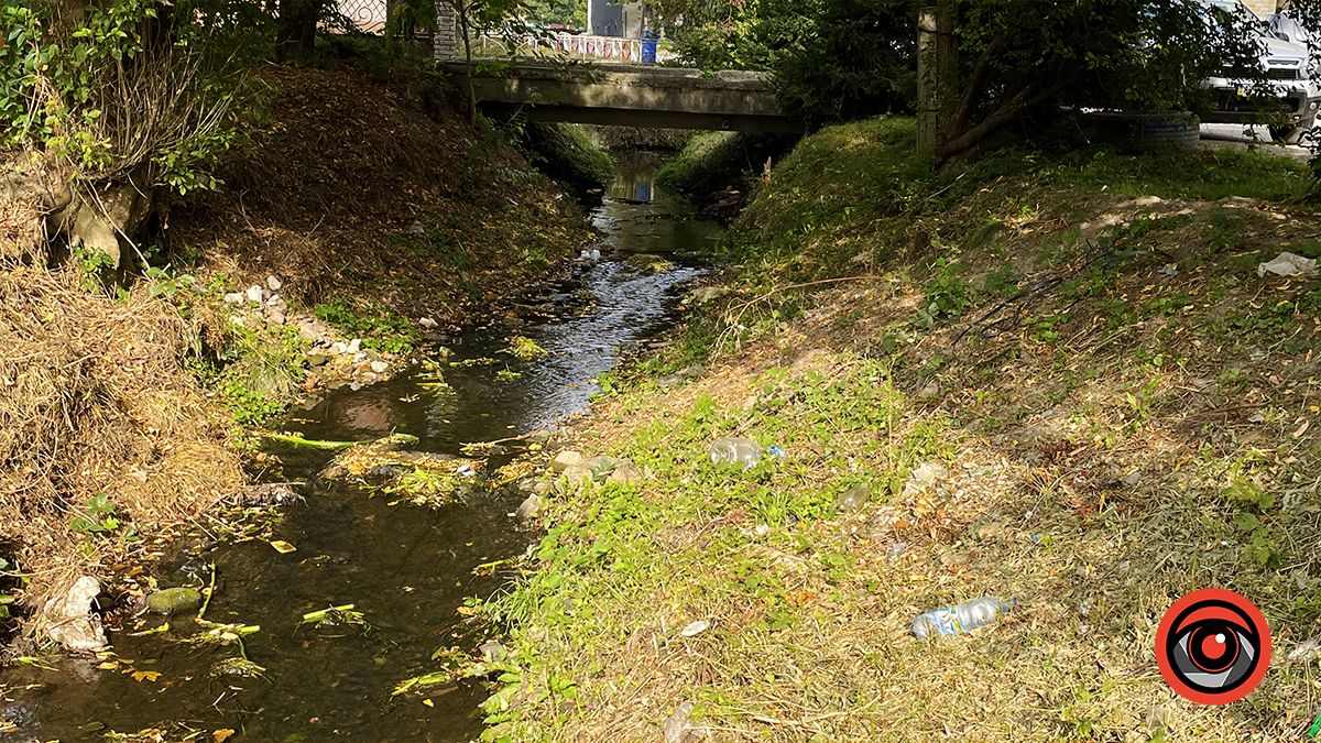 Чистили і лишили сміття: що не так із чисткою берегів Радилівки в Коломиї 4