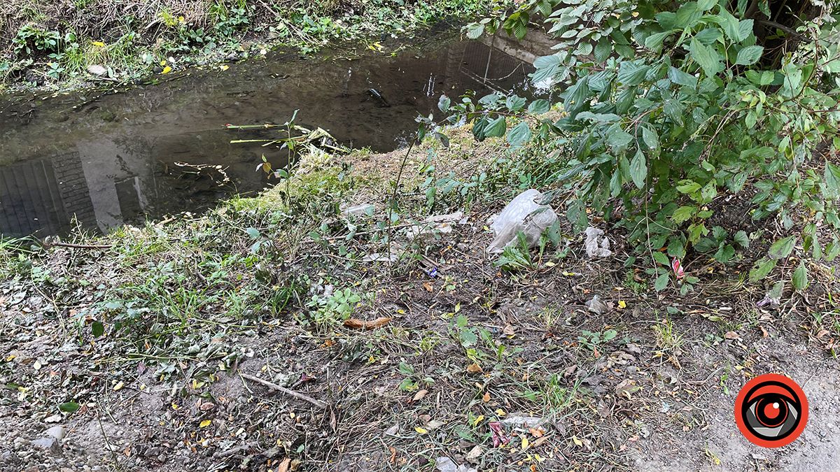 Чистили і лишили сміття: що не так із чисткою берегів Радилівки в Коломиї 6