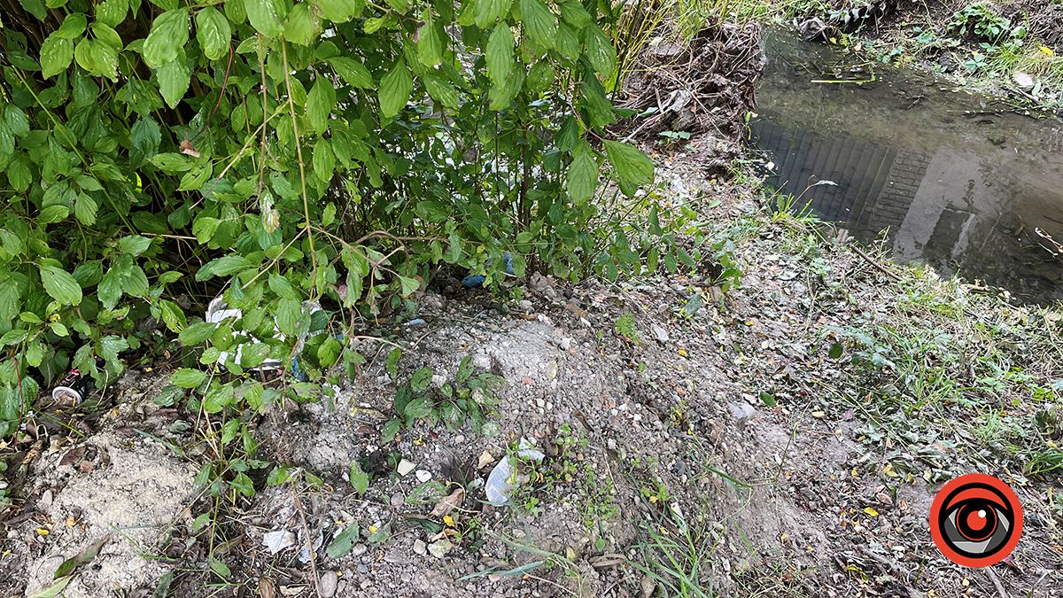 Чистили і лишили сміття: що не так із чисткою берегів Радилівки в Коломиї 5