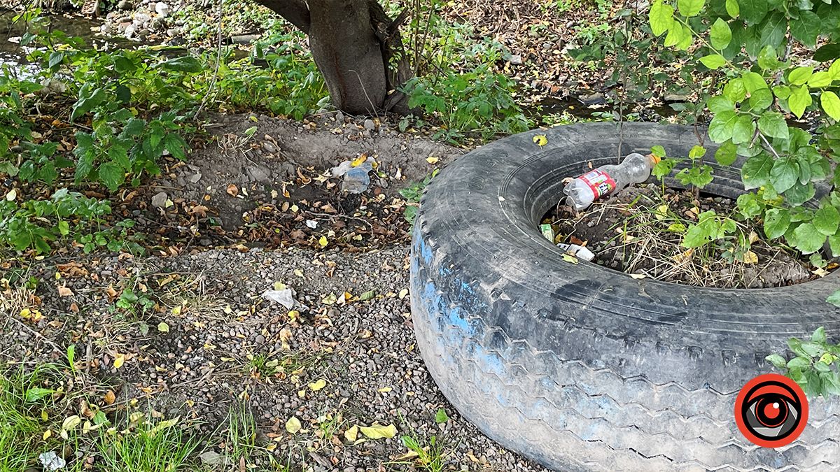 Чистили і лишили сміття: що не так із чисткою берегів Радилівки в Коломиї 3