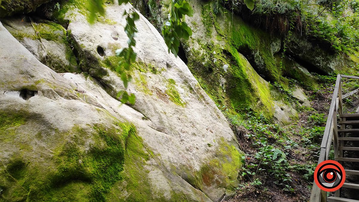 Мандруємо разом: фотоекскурсія до унікальної львівської фортеці Тустань 17