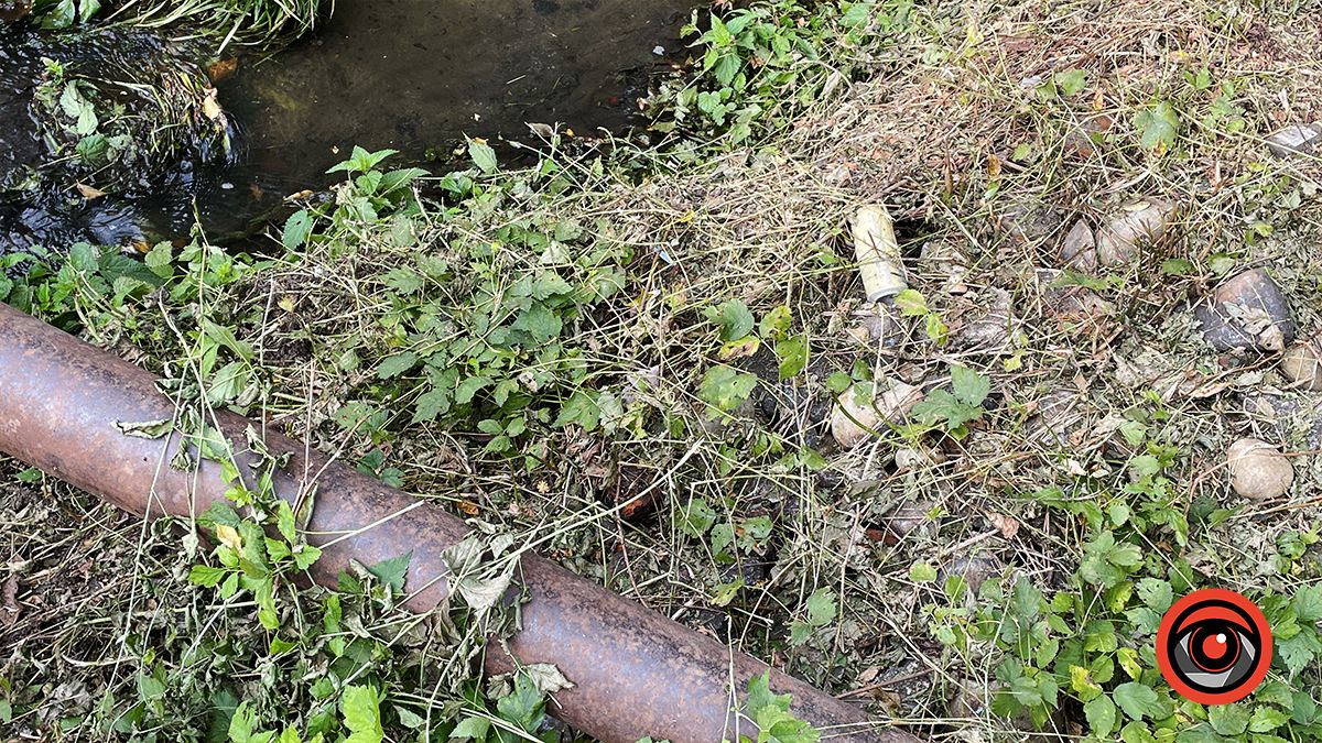 Чистили і лишили сміття: що не так із чисткою берегів Радилівки в Коломиї 12