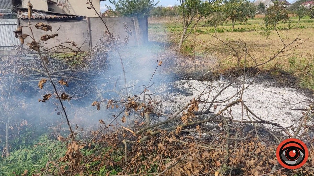 Коломийські рятувальники виїжджали на виклик у П'ядики 1