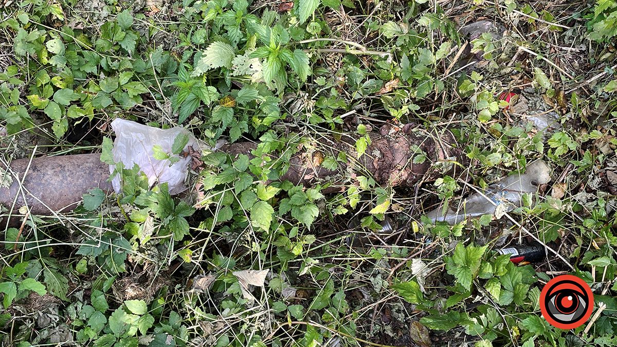 Чистили і лишили сміття: що не так із чисткою берегів Радилівки в Коломиї 13