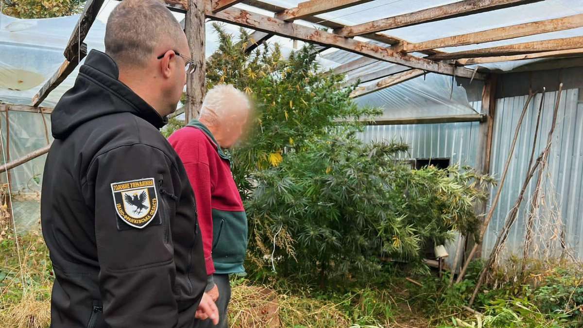 У пенсіонера з Косівщини виявили плантацію конопель та боєприпаси