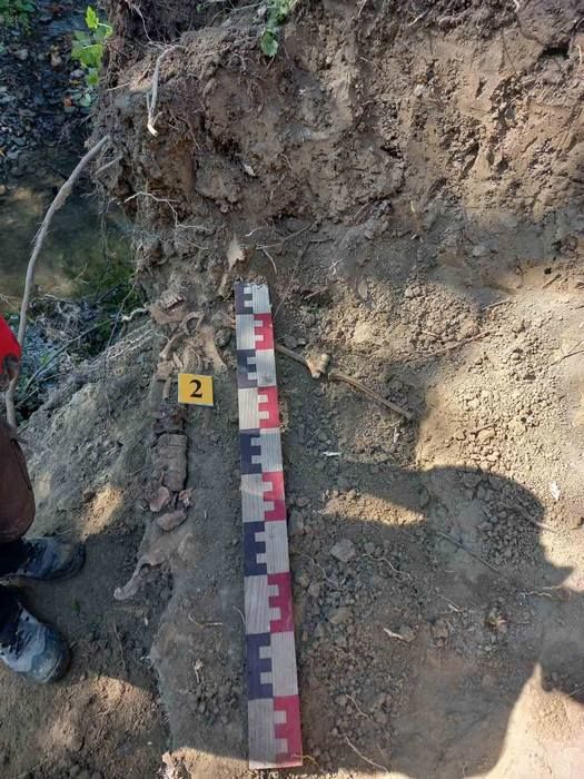 У Печеніжині виявили невідоме захоронення 1