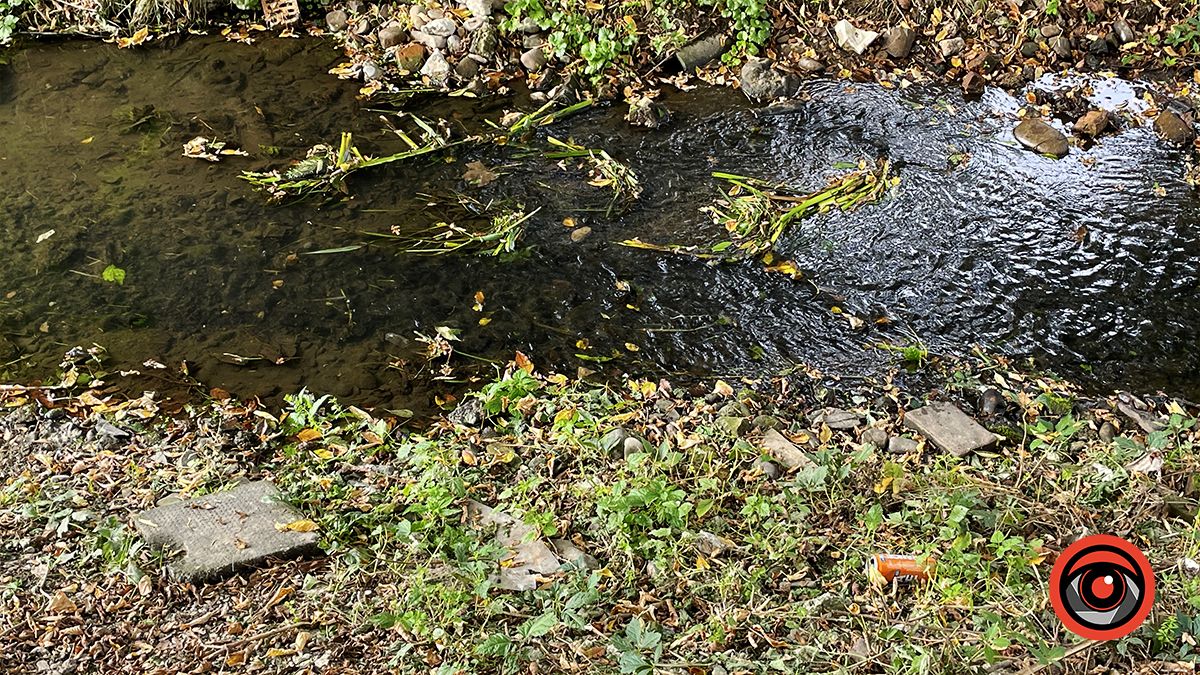 Чистили і лишили сміття: що не так із чисткою берегів Радилівки в Коломиї 2