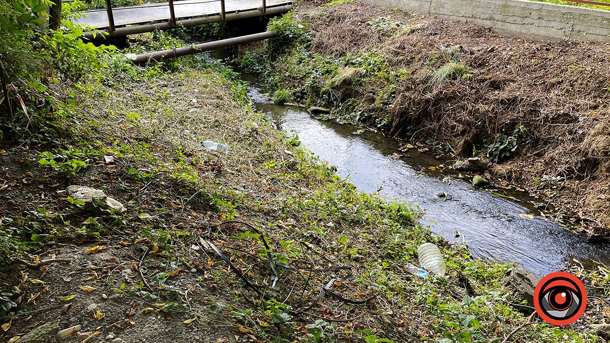 Чистили і лишили сміття: що не так із чисткою берегів Радилівки в Коломиї 1