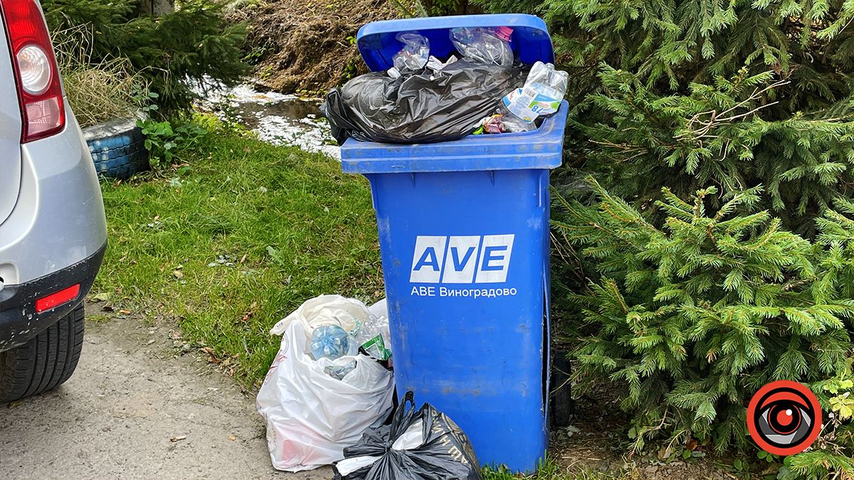 Чистили і лишили сміття: що не так із чисткою берегів Радилівки в Коломиї 8