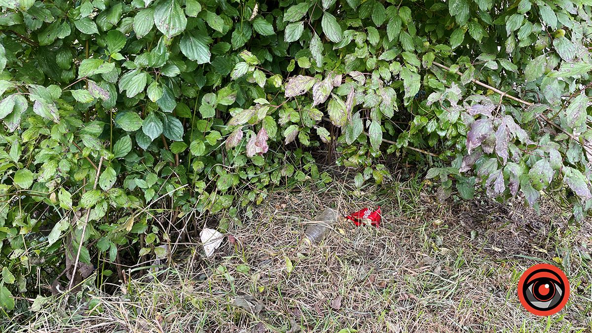 Чистили і лишили сміття: що не так із чисткою берегів Радилівки в Коломиї 9