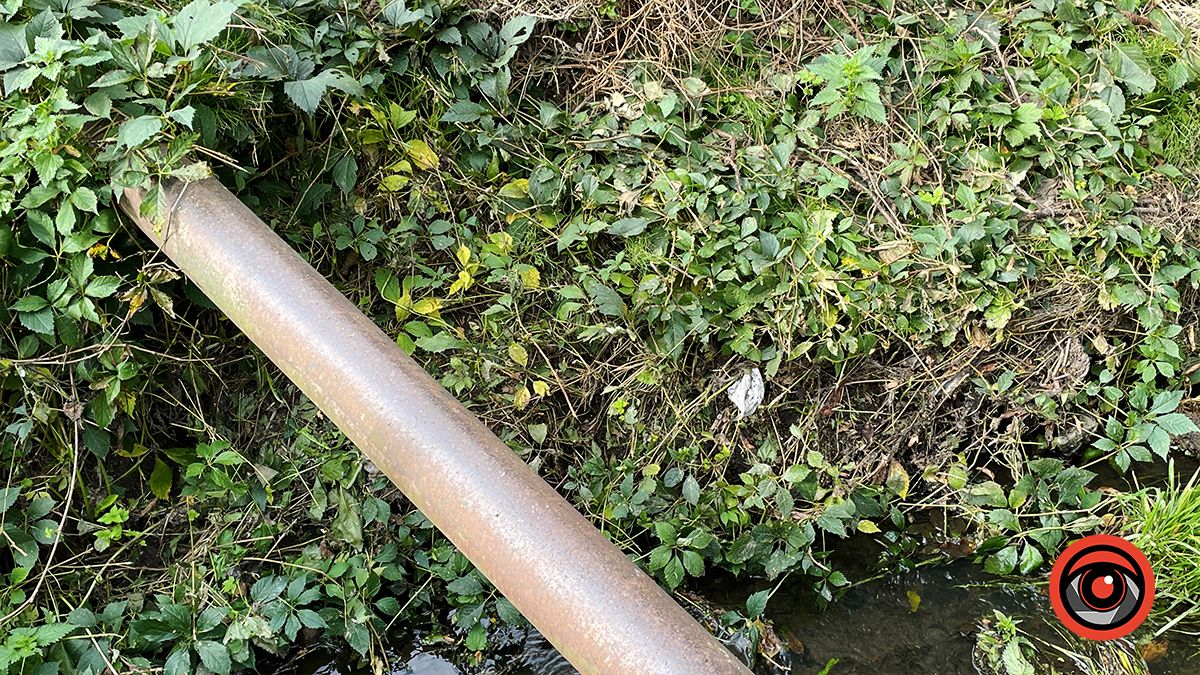 Чистили і лишили сміття: що не так із чисткою берегів Радилівки в Коломиї 7