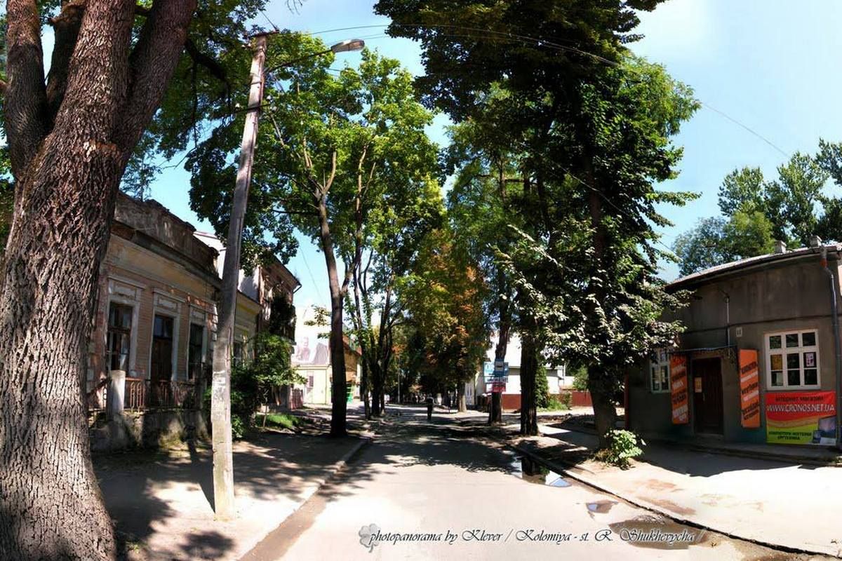 вул. Шухевича. Ще зелена. За 2021-2023 рік тут половину дерев зрізали