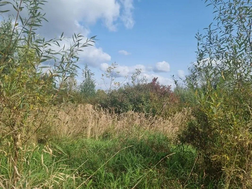 Коломийська міська рада виставила на продаж дві земельні ділянки 1