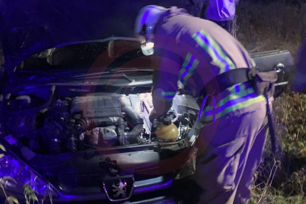 На Коломийщині автомобіль з дітьми злетів з дороги та перекинувся 2