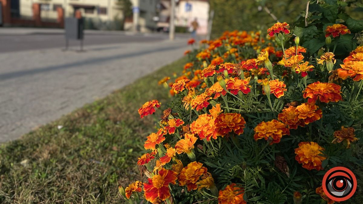 Погода у Коломиї 3 жовтня