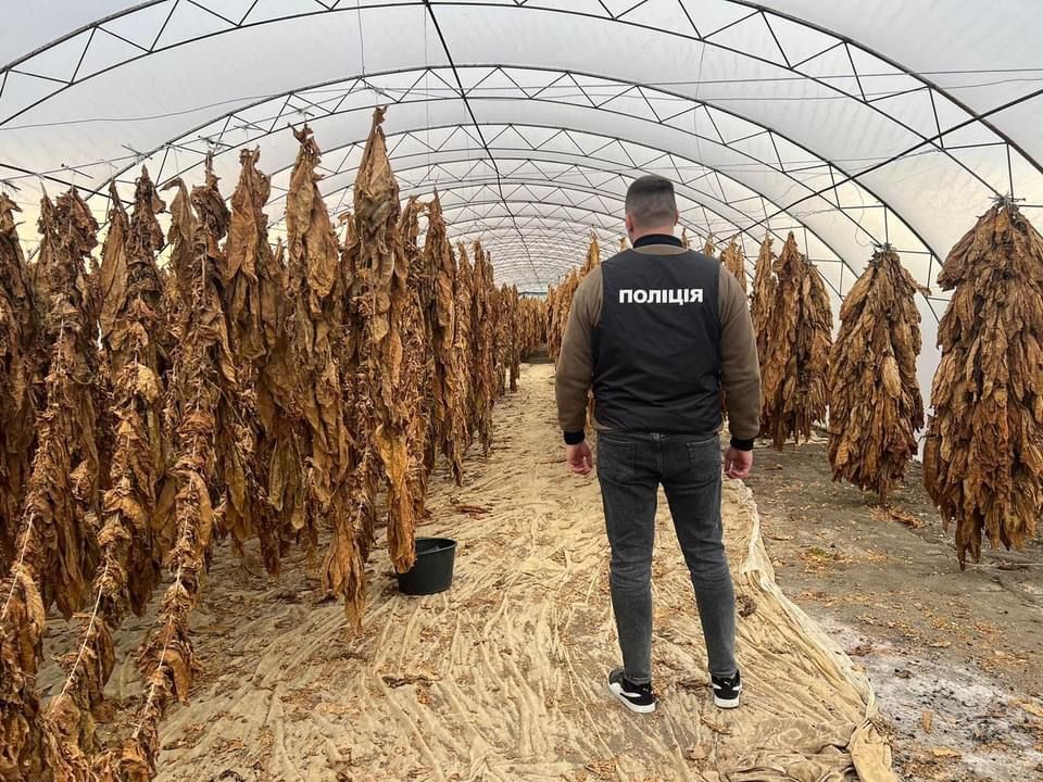 На Коломийщині 4 чоловіків організували власну тютюнову фабрику вдома