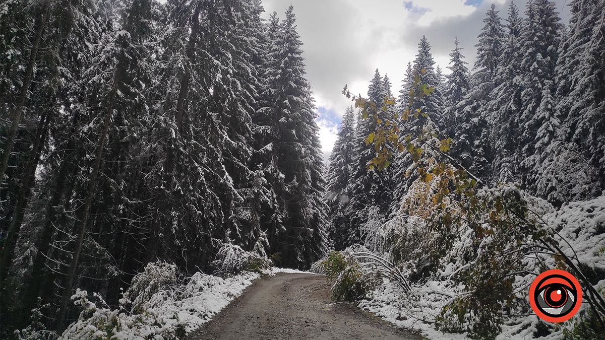 Засніжені Карпати | Фоторепортаж 4